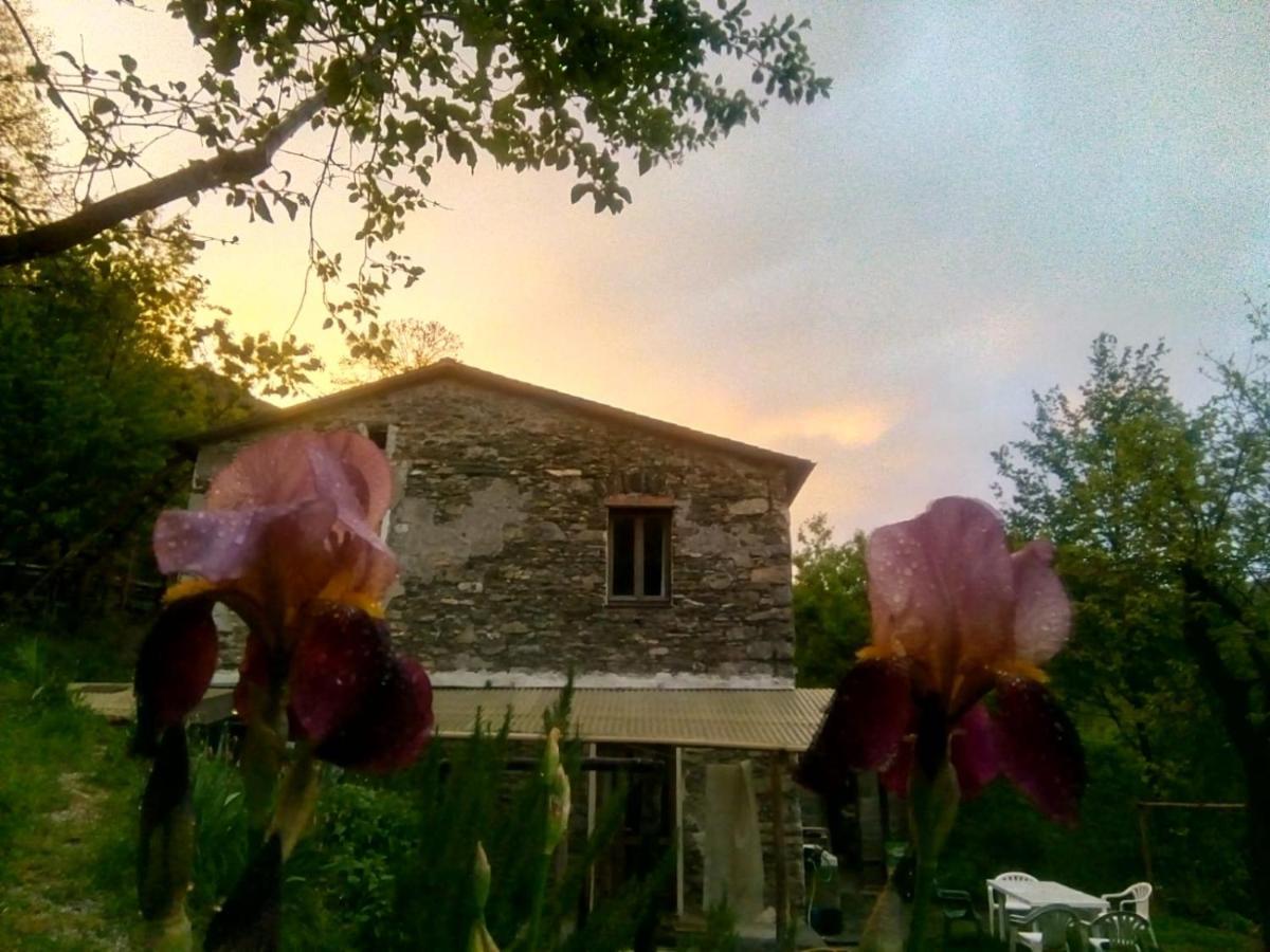 B&B Stefano Neirone ภายนอก รูปภาพ