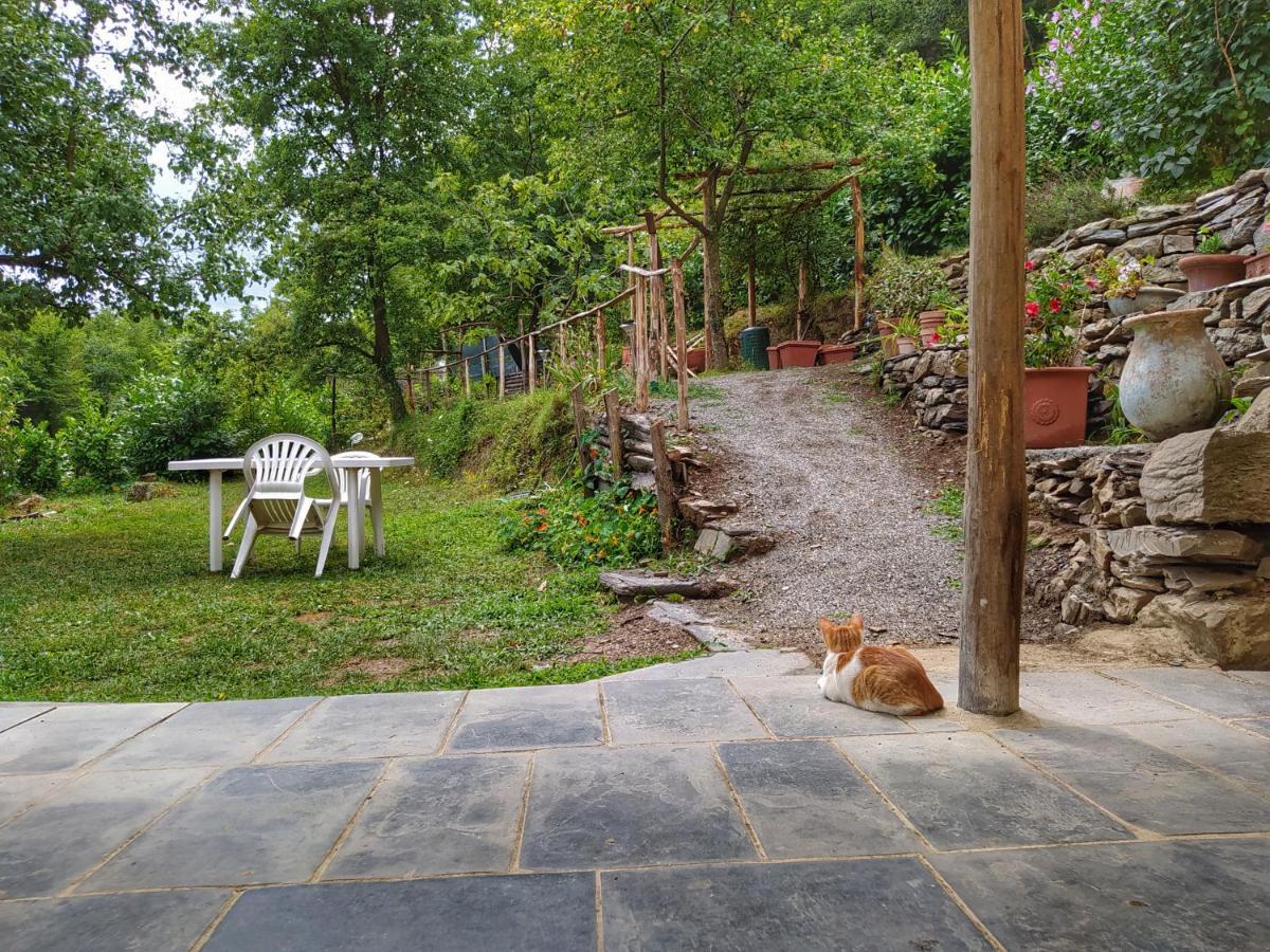 B&B Stefano Neirone ภายนอก รูปภาพ